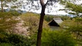 View in the Tenryu-ji temple, Kyoto, Japan